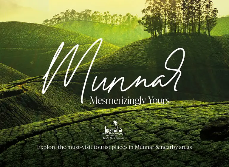 Munnar – Where the Hills Whisper