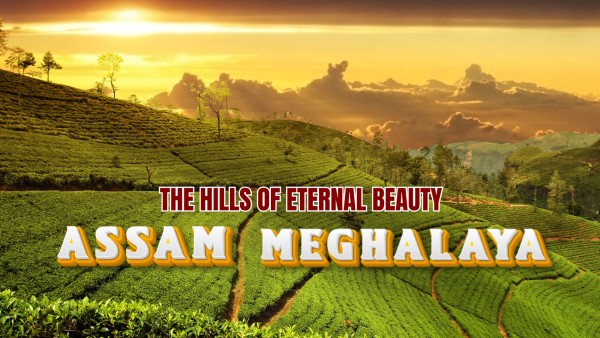 The Hills of Eternal Beauty - Assam Meghalaya (4N/5D)